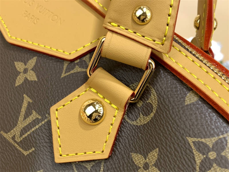 Luxury Bag LV Monogram M40325 sneakeronline