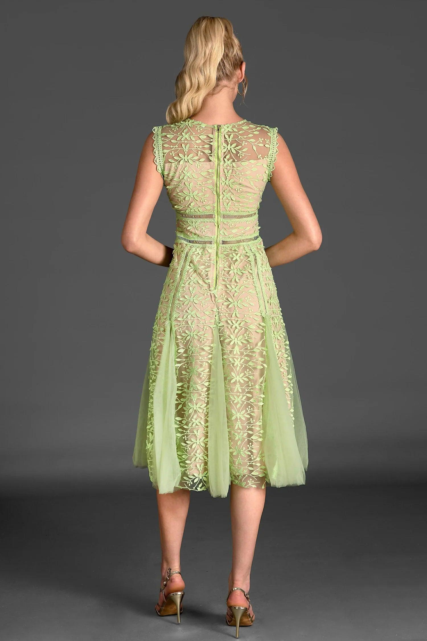 Tassoti Sleeveless Lace Embroidered Dress