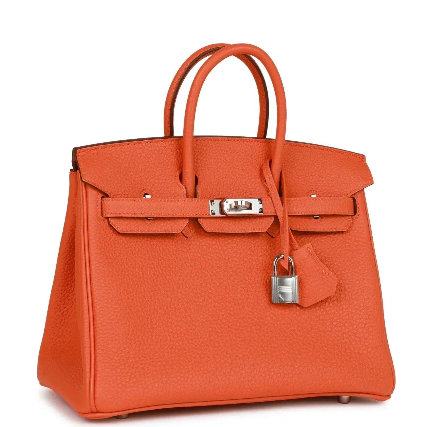 Birkin 25 Orange Togo Palladium Hardware Kilta bags