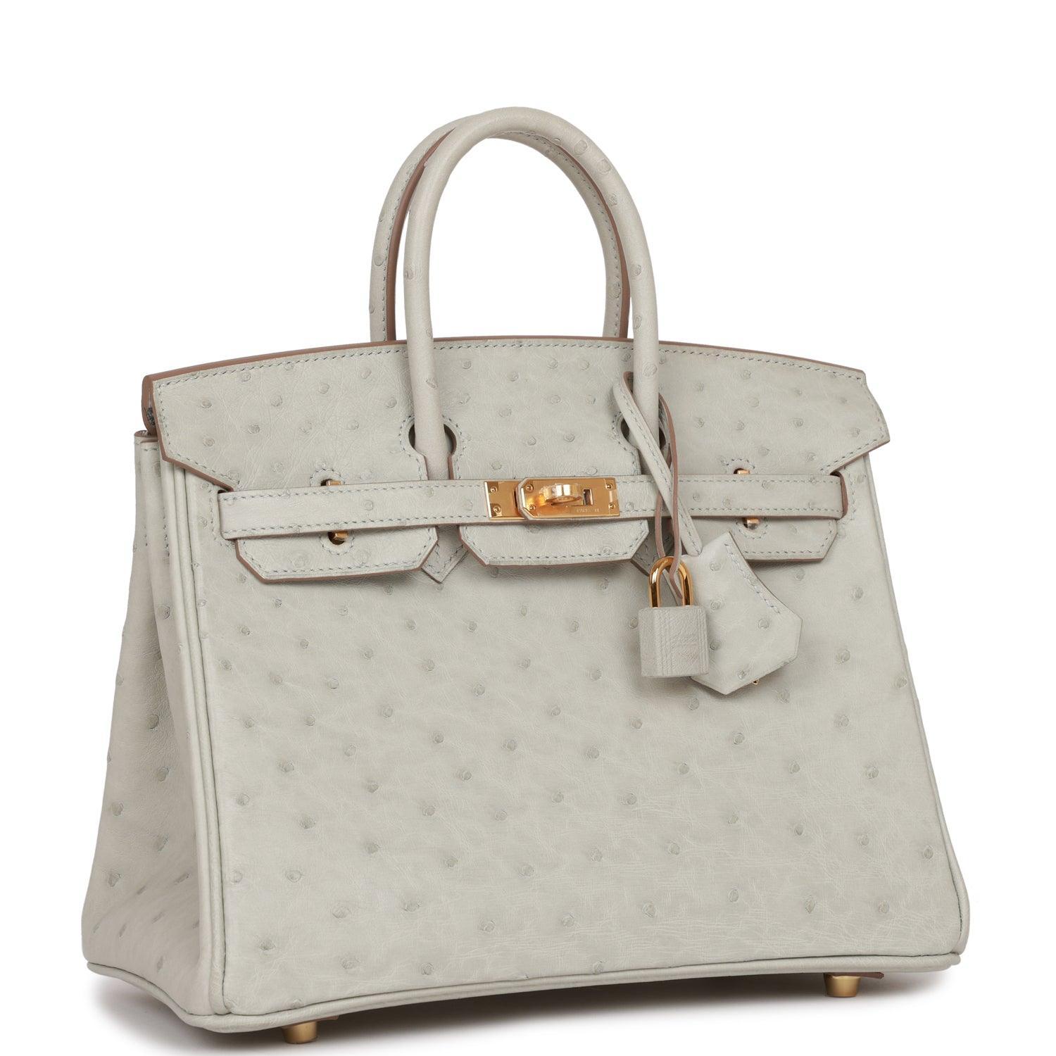 Birkin 25 Gris Perle Ostrich Gold Hardware - sneakerlandnet