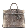 Birkin 25 Ombre Shiny Salvator Lizard Palladium Hardware Kilta bags