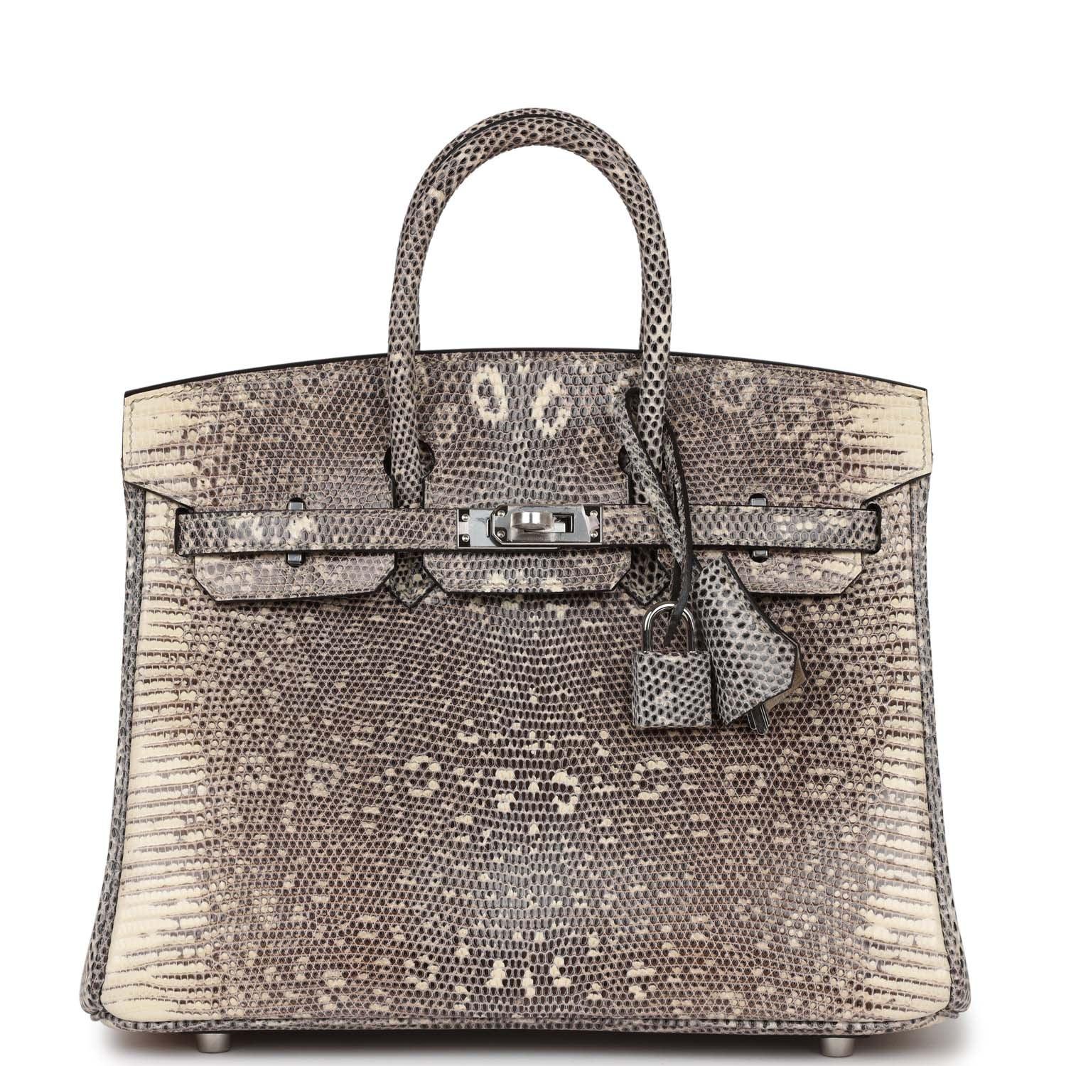 Birkin 25 Ombre Shiny Salvator Lizard Palladium Hardware Kilta bags