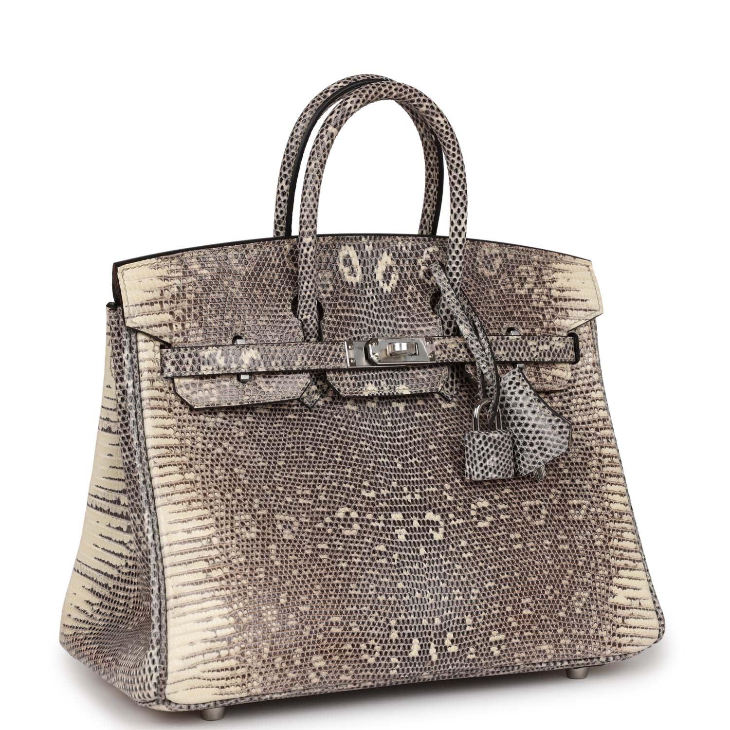 Birkin 25 Ombre Shiny Salvator Lizard Palladium Hardware Kilta bags