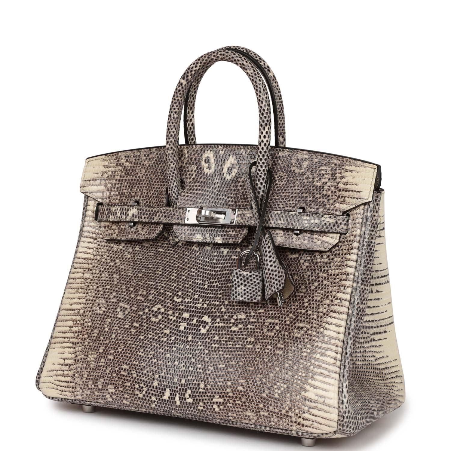 Birkin 25 Ombre Shiny Salvator Lizard Palladium Hardware Kilta bags