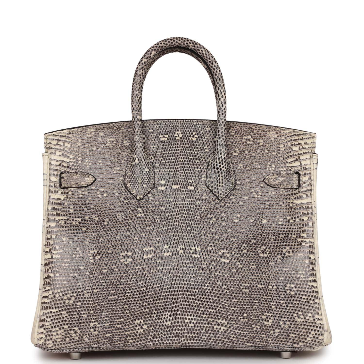 Birkin 25 Ombre Shiny Salvator Lizard Palladium Hardware Kilta bags