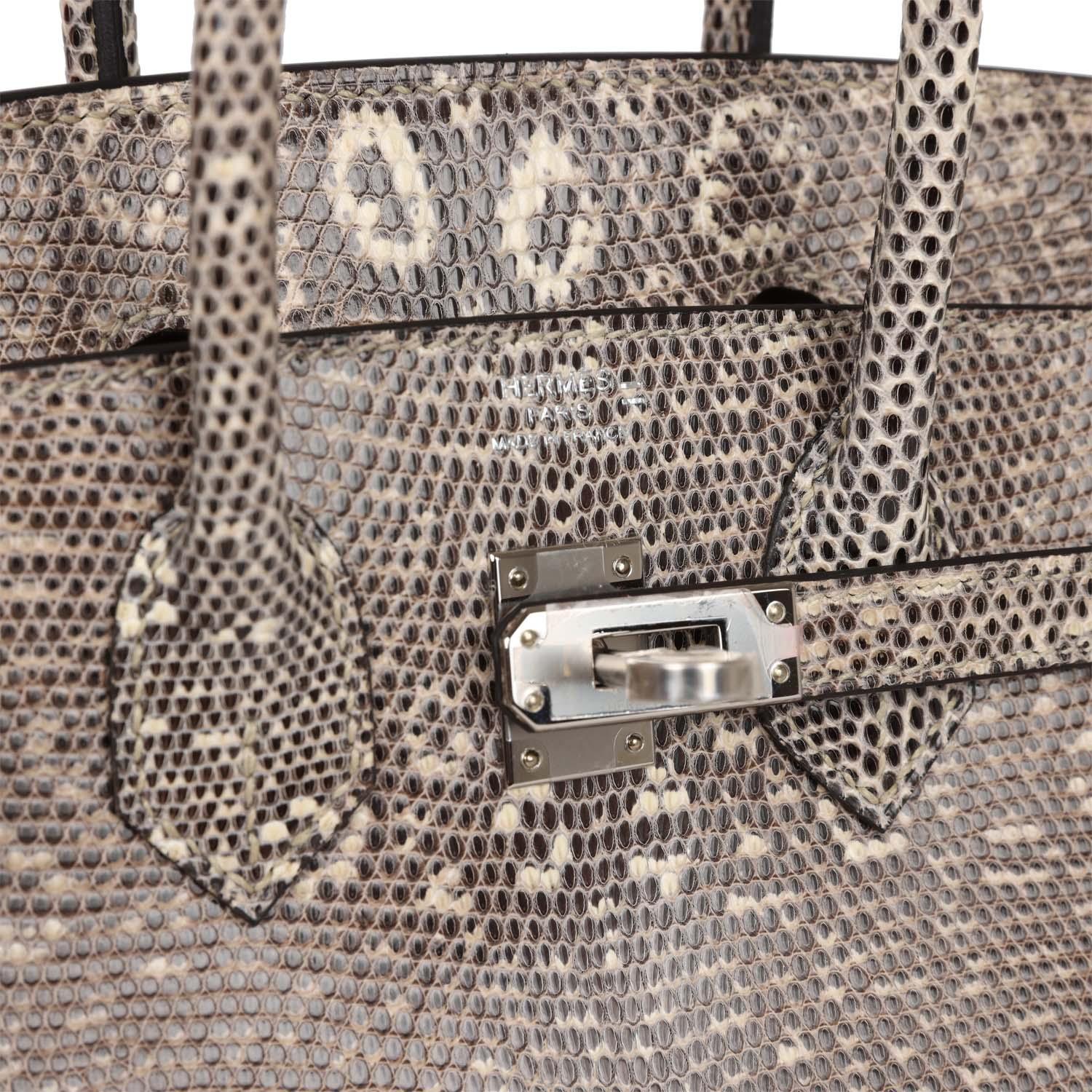 Birkin 25 Ombre Shiny Salvator Lizard Palladium Hardware Kilta bags