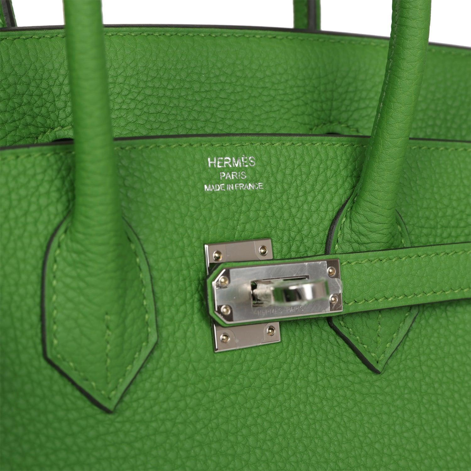 Birkin 25 Vert Yucca Togo Palladium Hardware Kilta bags