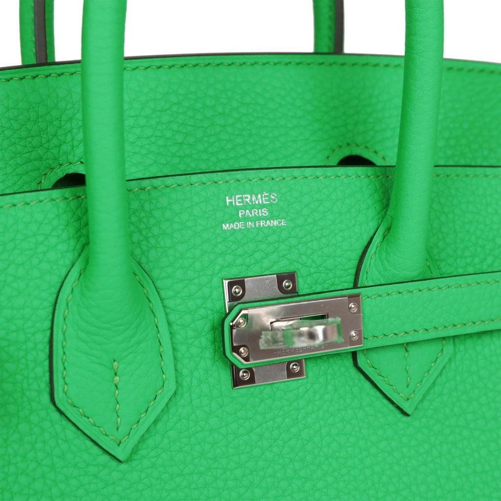 Birkin 25 Vert Comics Togo Palladium Kilta bags